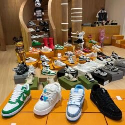 微信图片_2026-01-12_154746_077